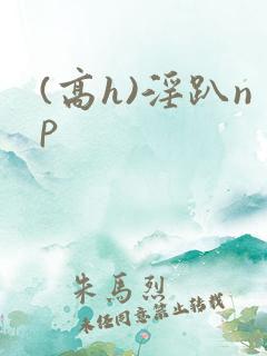 (高h)淫趴np