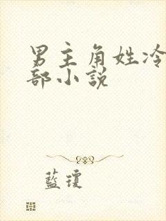 男主角姓冷的全部小说