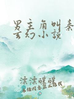 男主角叫秦尘的玄幻小说