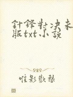 针锋对决未删减版txt小说