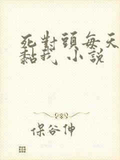 死对头每天都在黏我 小说