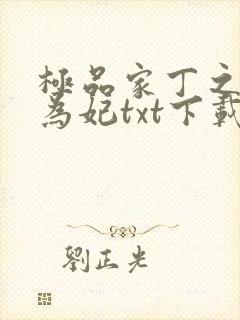 极品家丁之册母为妃txt下载