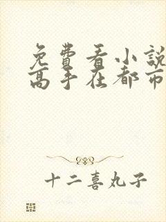 免费看小说最强高手在都市