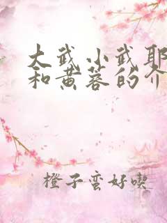 大武小武耶律齐和黄蓉的介绍