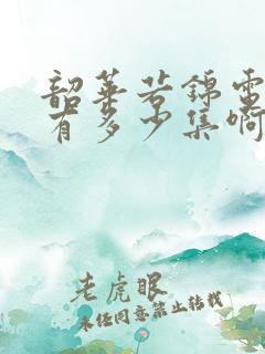 韶华若锦电视剧有多少集啊