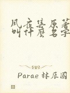 夙夜集原著小说叫什么名字