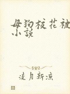 母狗校花被调教小说
