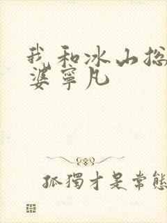 我和冰山总裁老婆宁凡