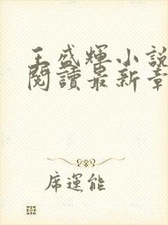 王盛辉小说免费阅读最新章节更新