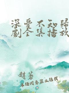 深爱不知归路短剧全集播放免费最新