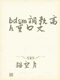 bdsm调教高h重口文