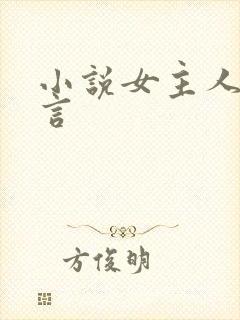 小说女主人林辛言