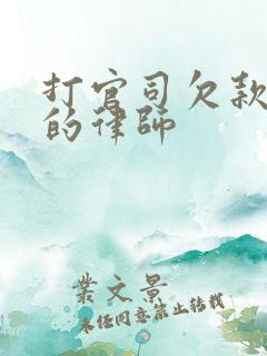 打官司欠款纠纷的律师