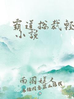 霸道总裁轻轻爱 小说