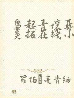 枭起青壤聂九罗炎拓在线小说免费