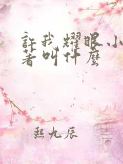 许我耀眼小说原著叫什么