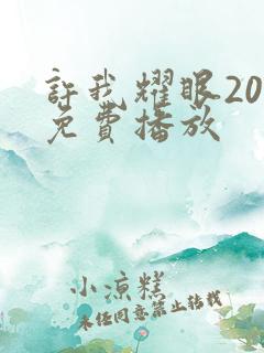 许我耀眼20集免费播放