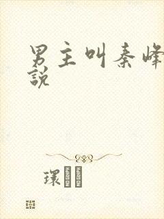 男主叫秦峰的小说