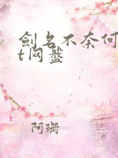 剑名不奈何txt网盘