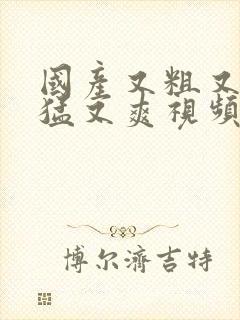 国产又粗又黄又猛又爽视频