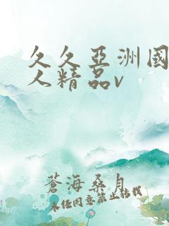 久久亚洲国产成人精品v