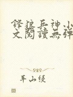 锋狼兵神小说全文阅读无弹窗免费