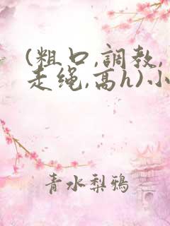 (粗口,调教,走绳,高h)小说