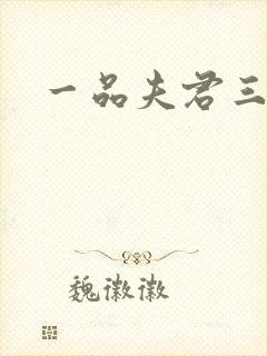 一品夫君三流妻