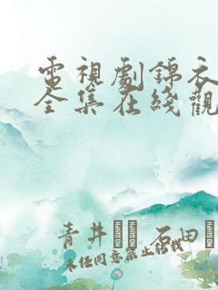 电视剧锦衣之下全集在线观看免费