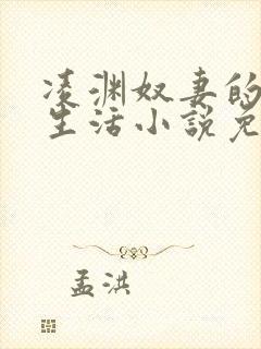 凌渊奴妻的日常生活小说免费阅读最