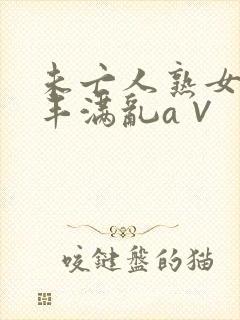 未亡人熟女人妻丰满乱a∨