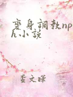 变身调教np高h小说