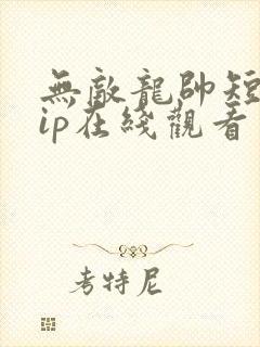 无敌龙帅短剧vip在线观看