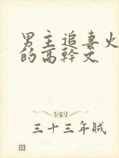 男主追妻火葬场的高干文