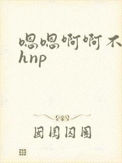 嗯嗯啊啊不要高hnp