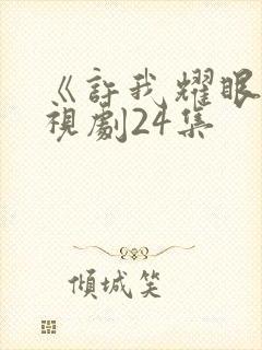 《许我耀眼》电视剧24集