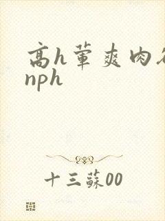 高h荤爽肉欲文nph