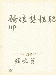 骚浪双性肥丑攻np