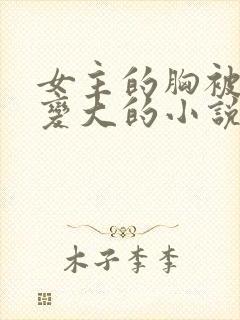 女主的胸被系统变大的小说