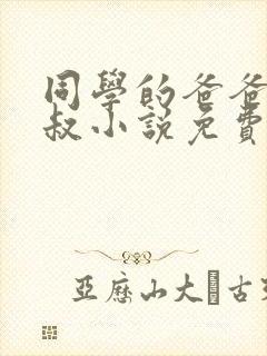 同学的爸爸许叔叔小说免费阅读