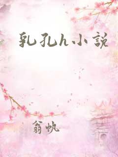 乳孔h小说