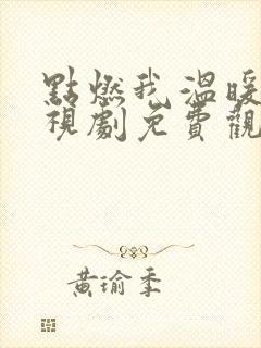 点燃我温暖你电视剧免费观看完整版