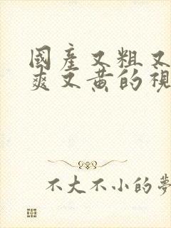 国产又粗又猛又爽又黄的视频好