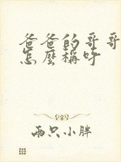 爸爸的哥哥老婆怎么称呼