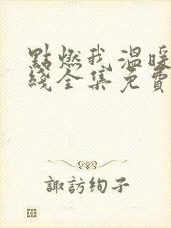 点燃我温暖你在线全集免费观看电视剧