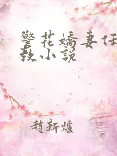 警花娇妻任务调教小说