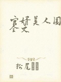 官婿美人图安江全文