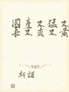 国产又猛又粗又长又爽又黄的视频