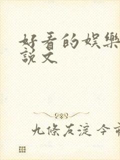 好看的娱乐圈小说文