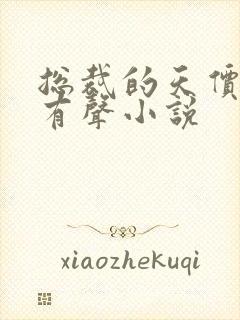 总裁的天价前妻有声小说